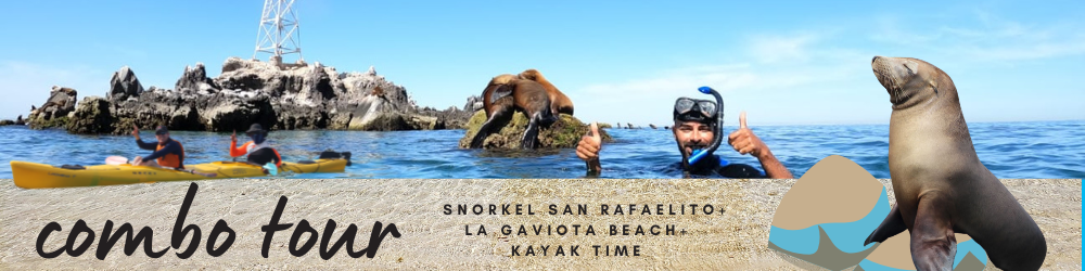  Snorkel San Rafaelito & Playa La Gaviota, & Kayak Time
